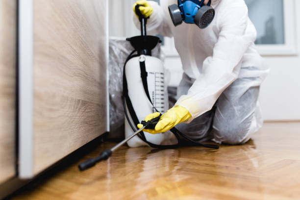 Best Exterminator Services  in Easley, SC