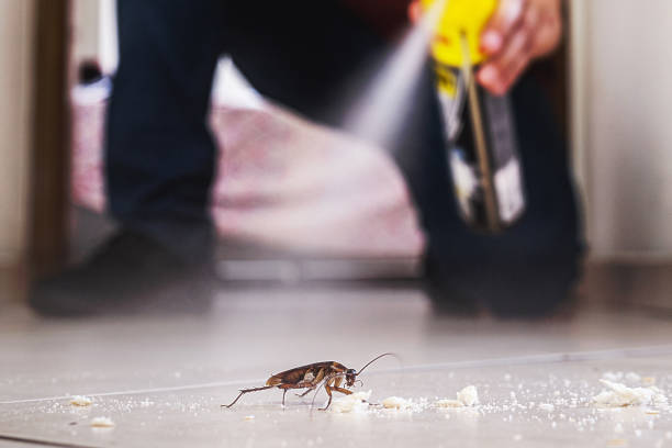 Best Pest Control Near Me in Easley, SC